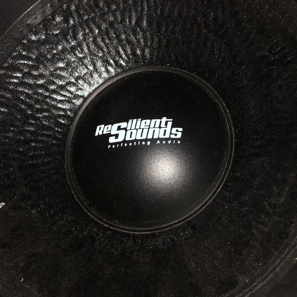 Resilient sounds 15in subs that are blown